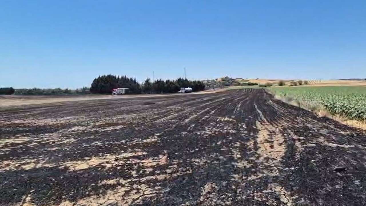 Silivri’de yangın: Ekili araziler zarar gördü