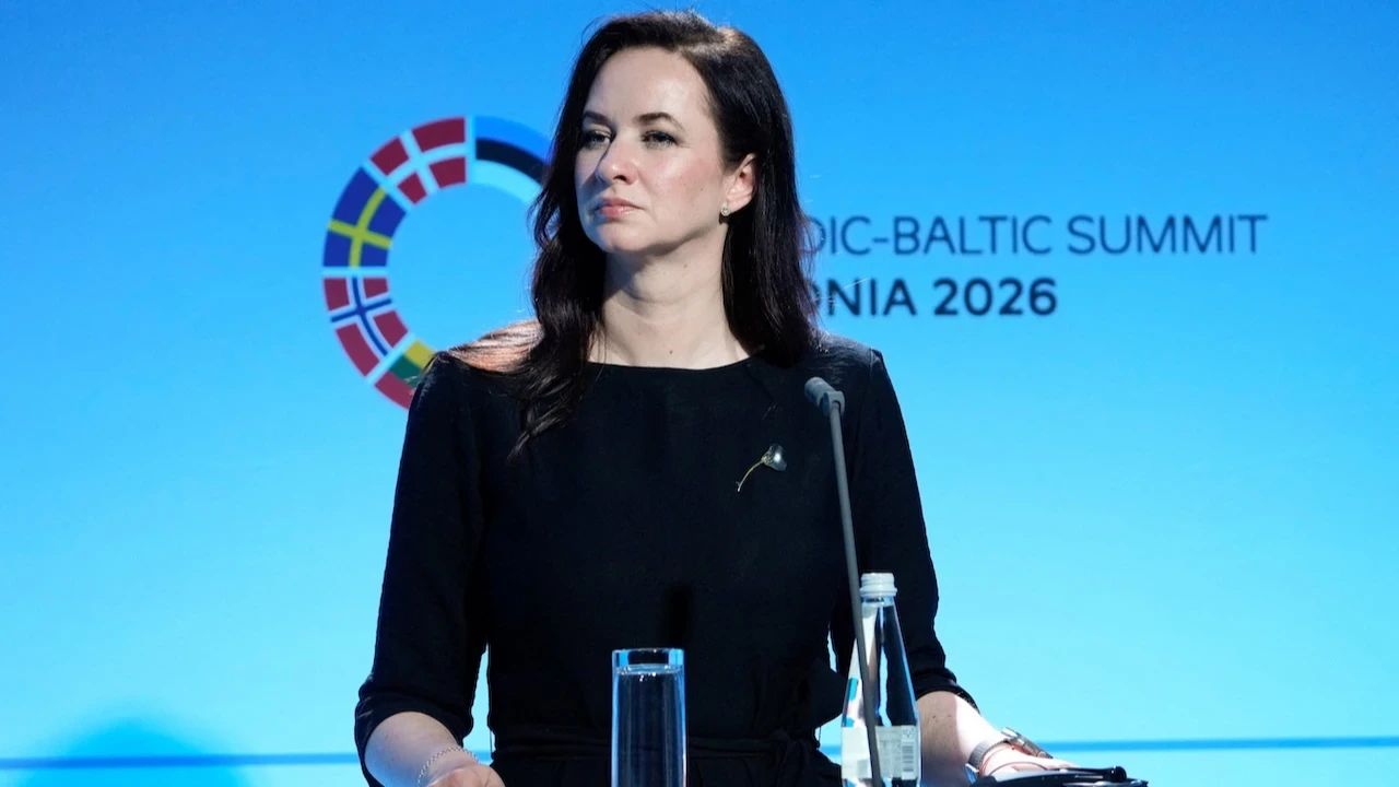 Litvanya Başbakanı'ndan Türkiye'ye övgü