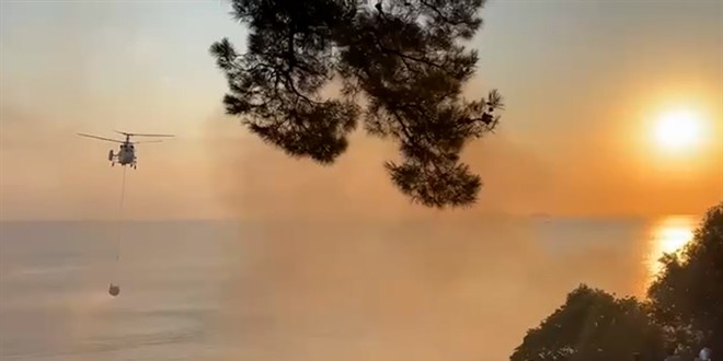 Plajda başlayıp ormanlık alana sıçrayan yangın söndürüldü