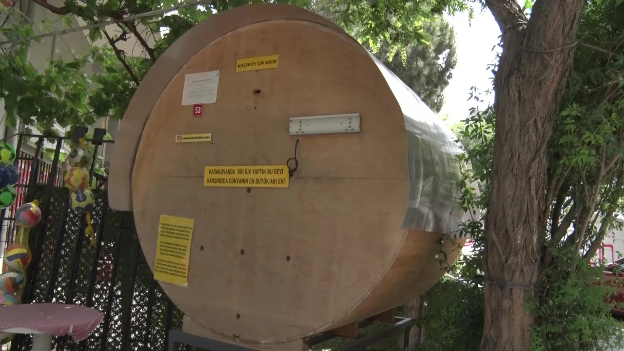 Kadıköy’de gören dönüp bir daha bakıyor: Bakkalın önünde dev bal kovanı