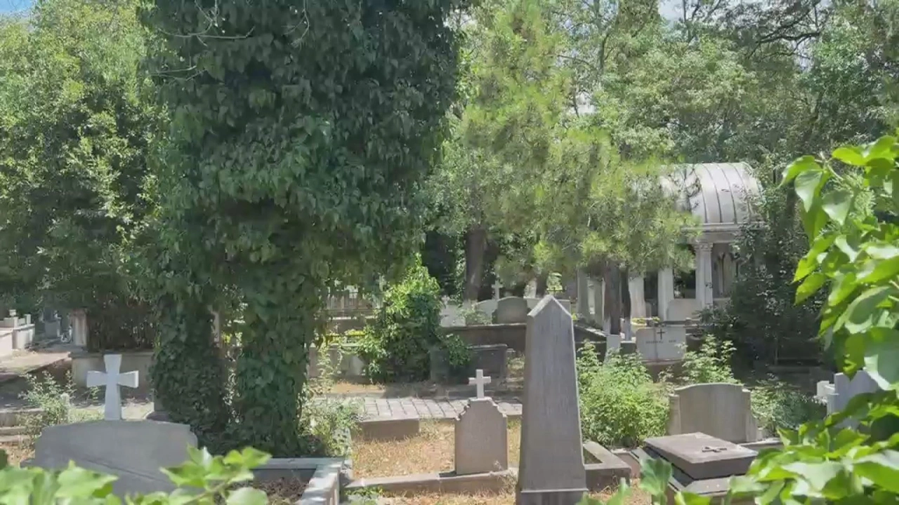 Üsküdar'da Ermeni mezarlığı tahrip edildi: 1 şüpheli gözaltına alındı