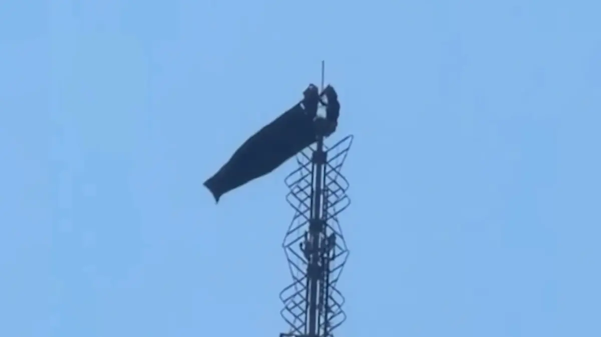Empire State'in tepesinde tehlikeli evlilik teklifi: Gözaltına alındılar
