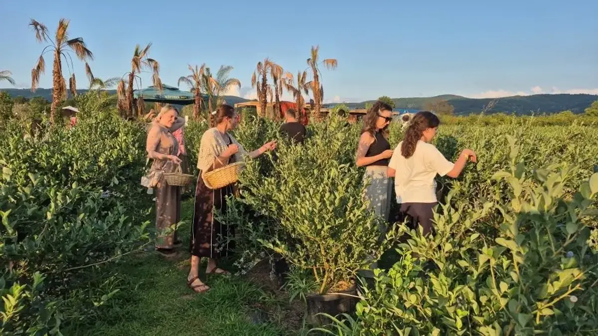 Düzce'de üniversite öğrencileri kurdu: Her giren mutlu ayrılıyor