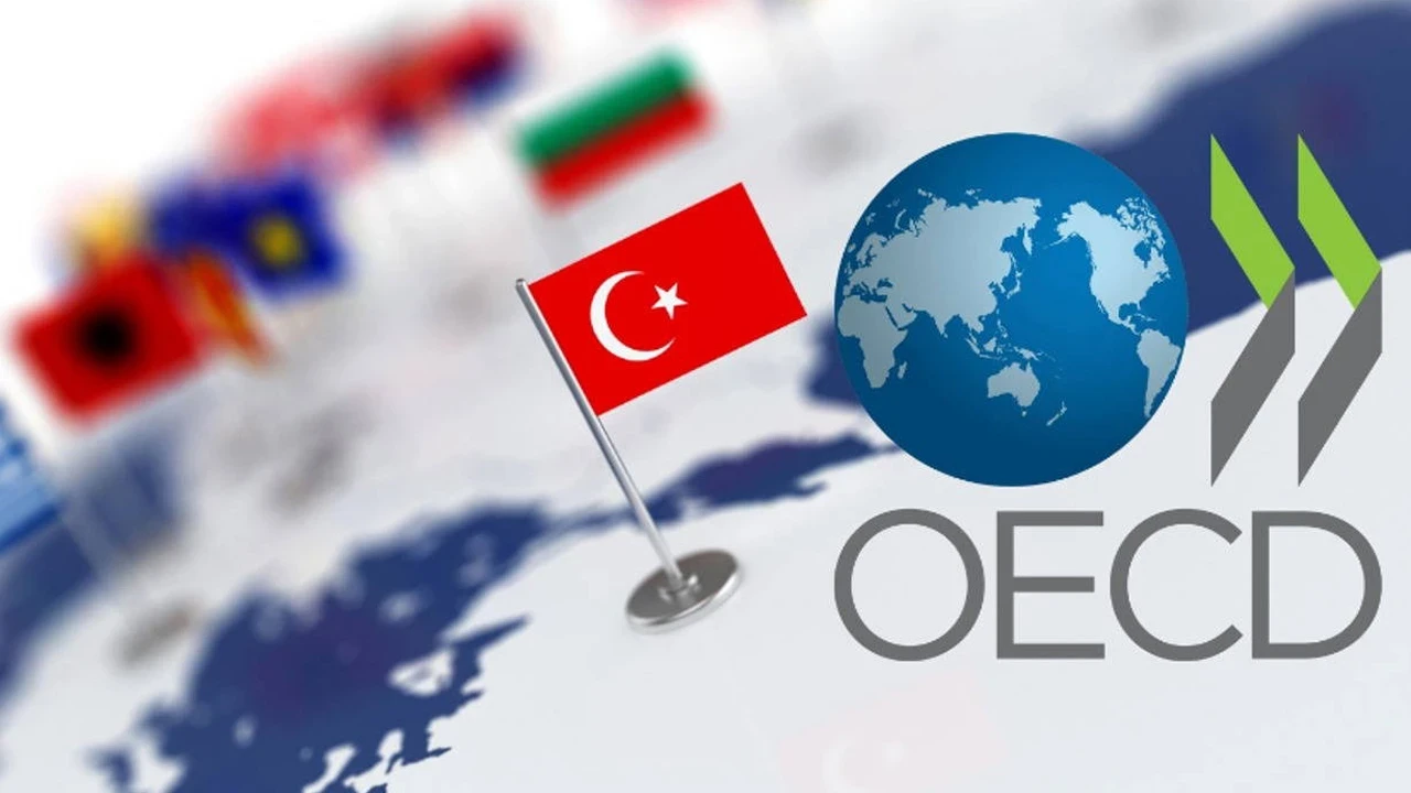 OECD'nin en başarılı ülkeleri arasında Türkiye var
