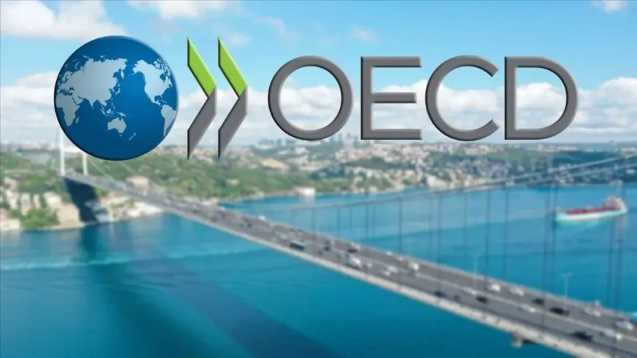 Türkiye OECD ülkeleri arasında ikinci sırada yer aldı!