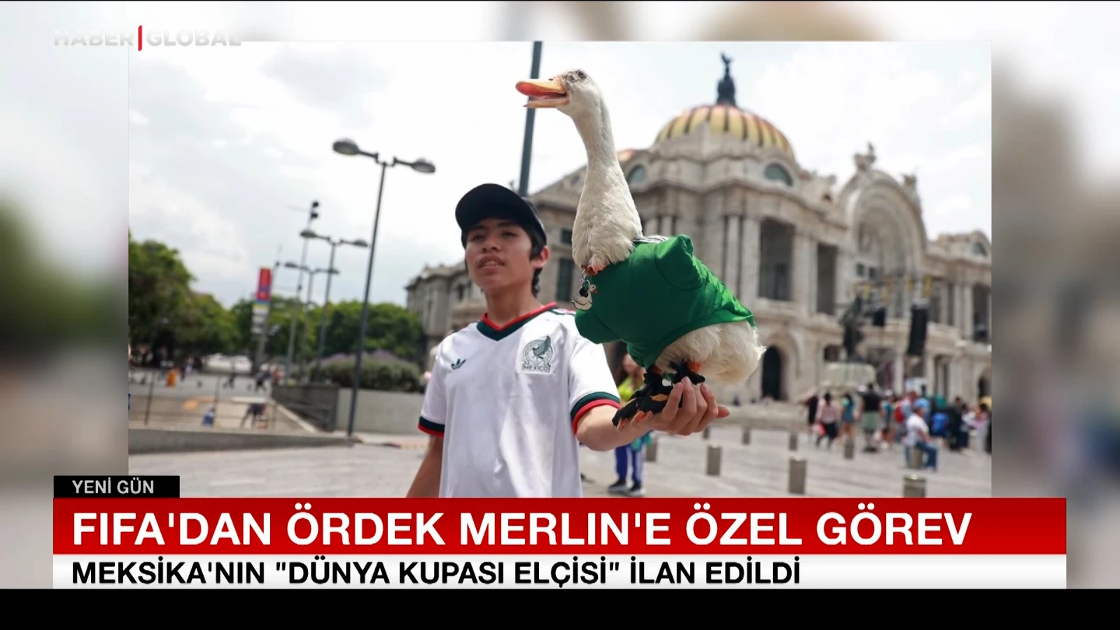FIFA’dan ördek Merlin’e özel görev