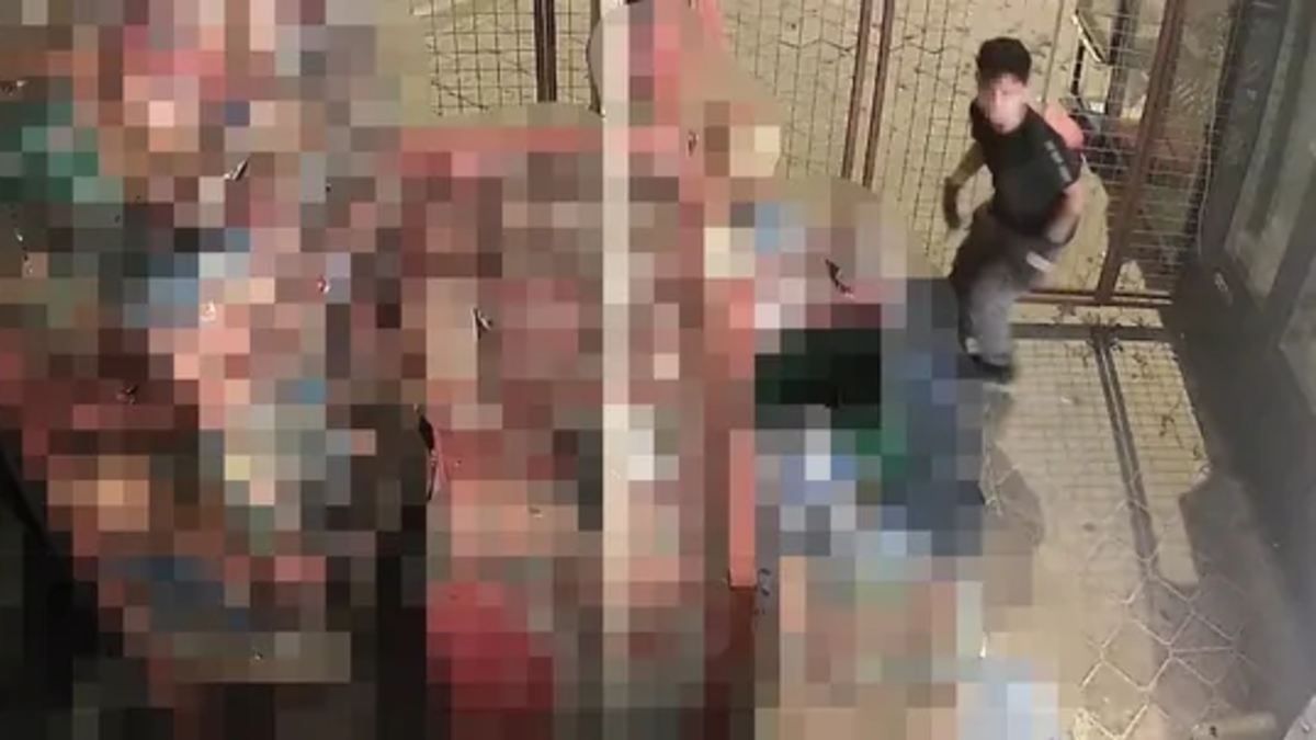 Aydın'da akılalmaz olay! Ne varsa aldılar: O halleri kameraya yansıdı