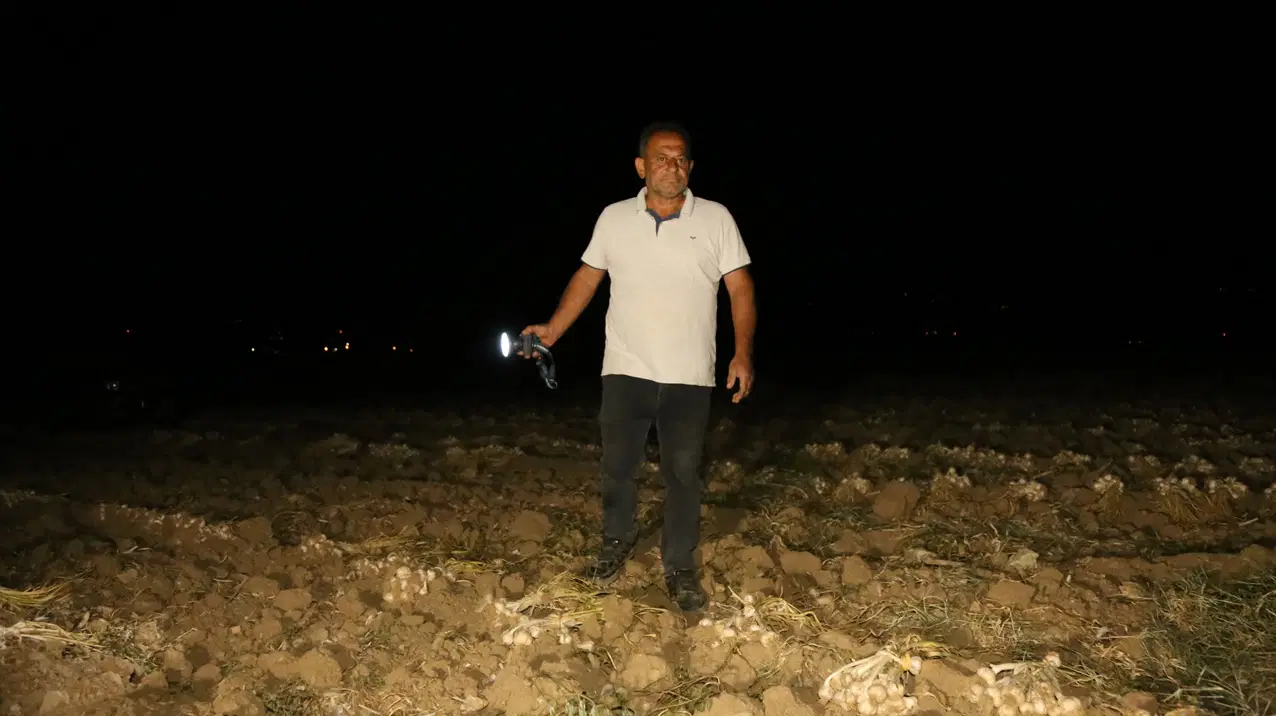 'Beyaz altın' için uykusuz nöbet: Raf ömrüyle rakipsiz, Avrupa'nın göz bebeği...