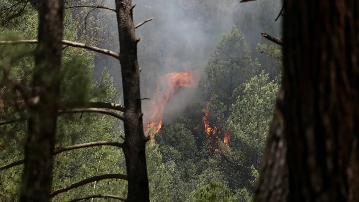 Fethiye'de orman yangını