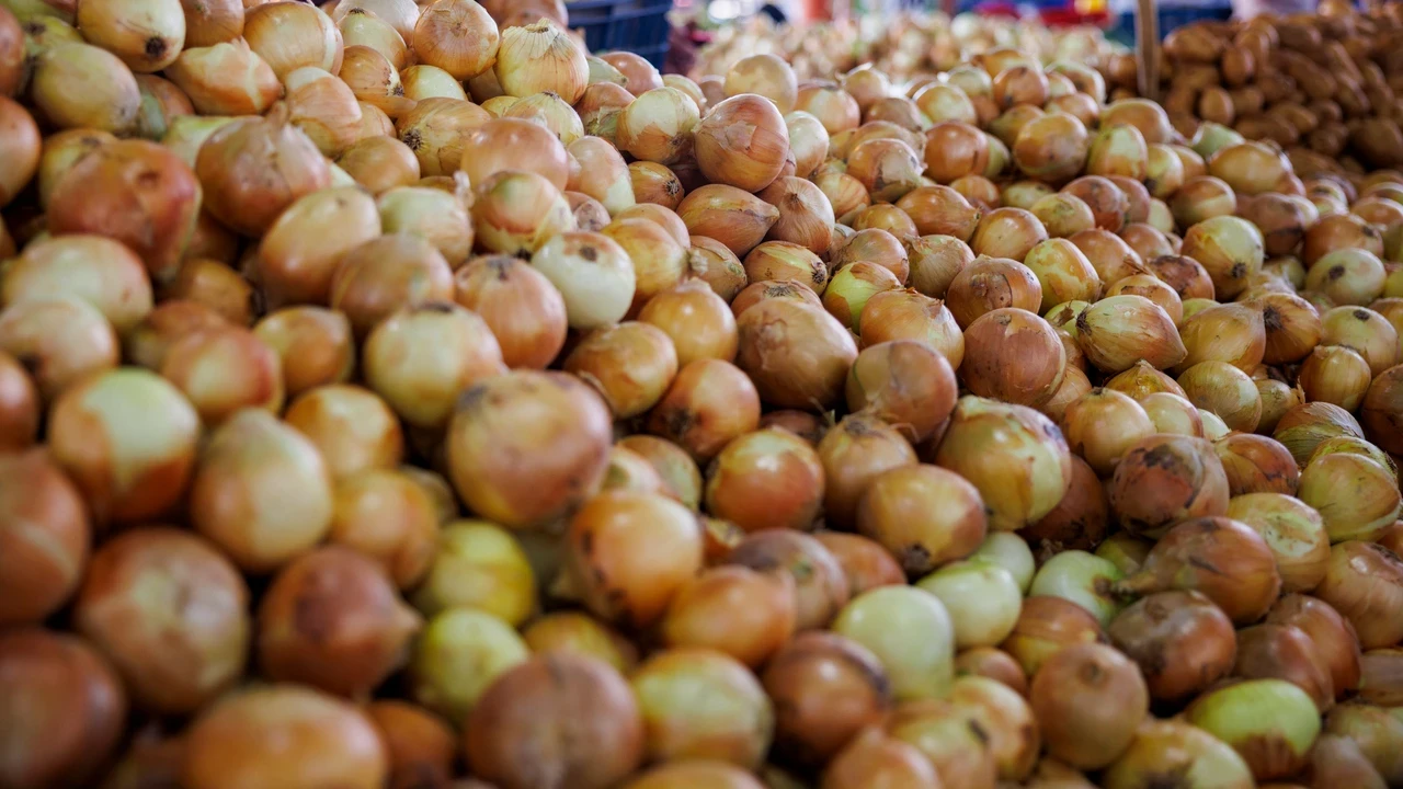 Kuru soğanda gümrük vergisi neden düşürüldü? Ticaret Bakanlığı'ndan açıklama