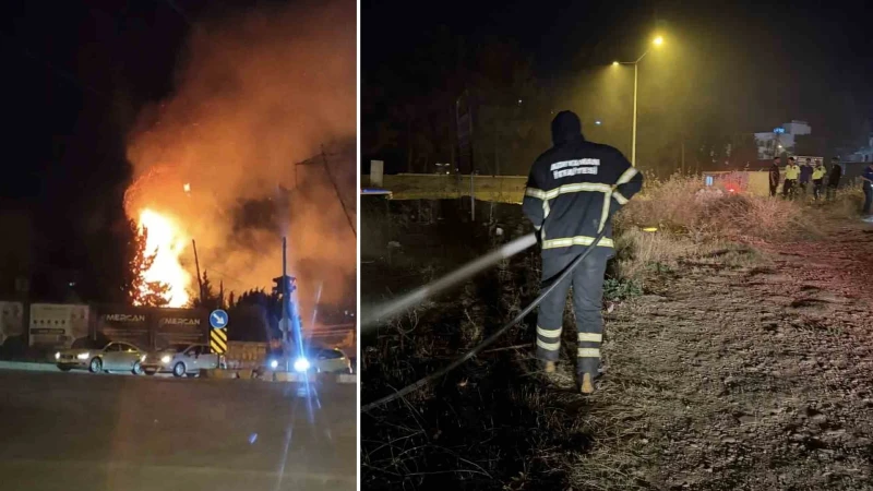 Adıyaman'da ağaçlık alanda yangın: Polis alevlerin arasındaki kaplumbağayı kurtardı