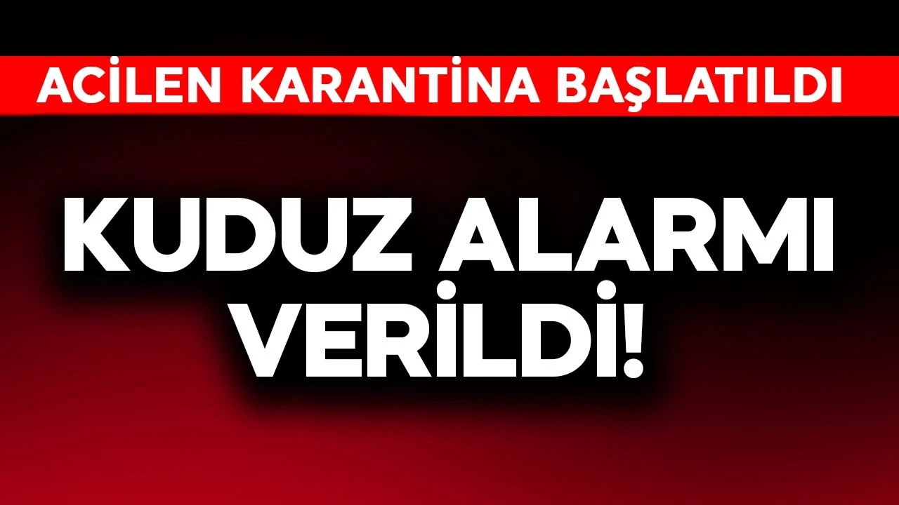 Kuduz alarmı! Bölge acil olarak karantinaya alındı