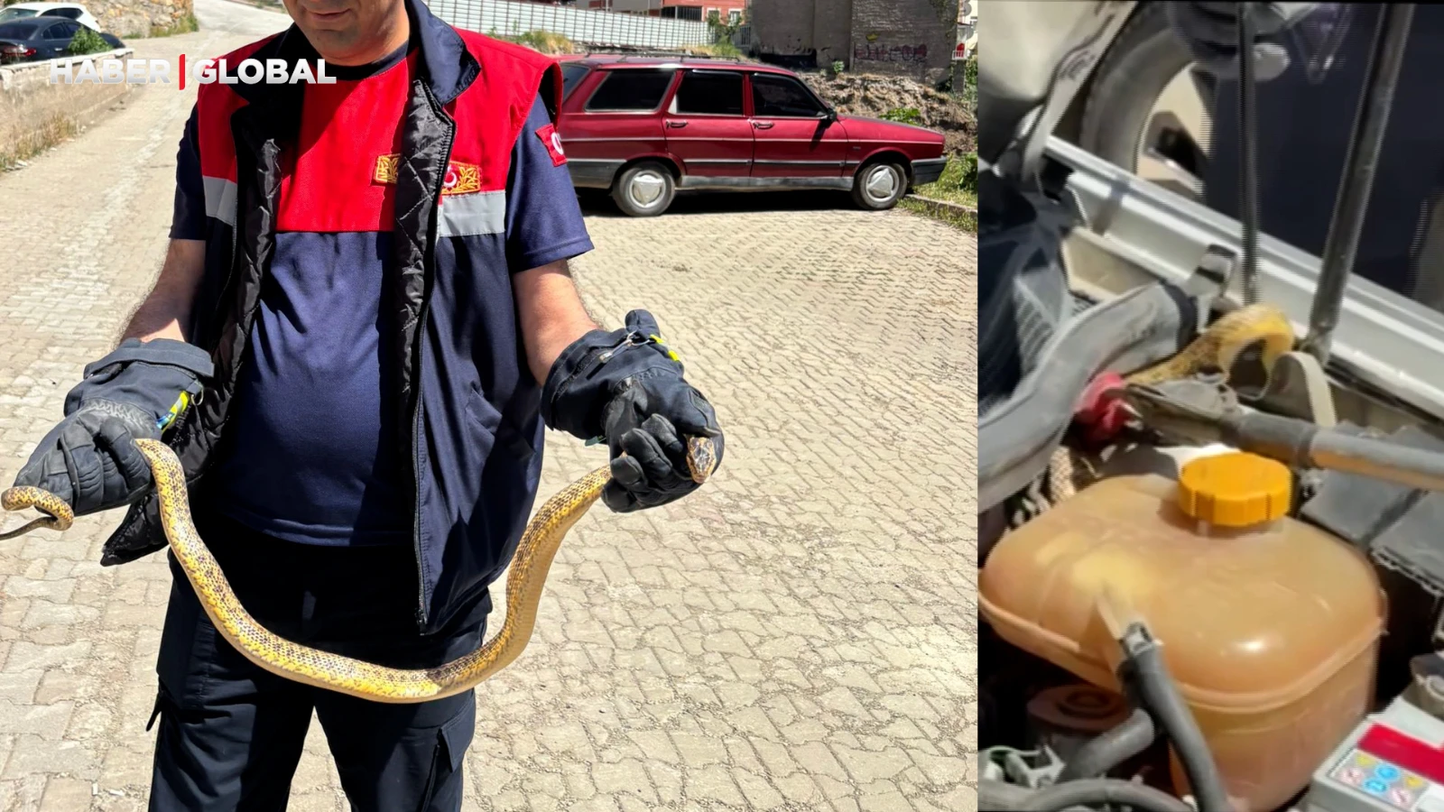 Yozgat’ta otomobile giren yılanı görünce şoke oldu