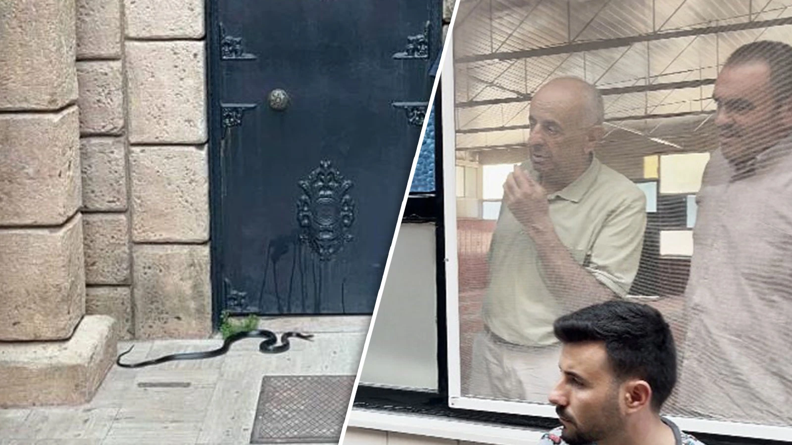 Namaza giden cemaate yılan şoku!