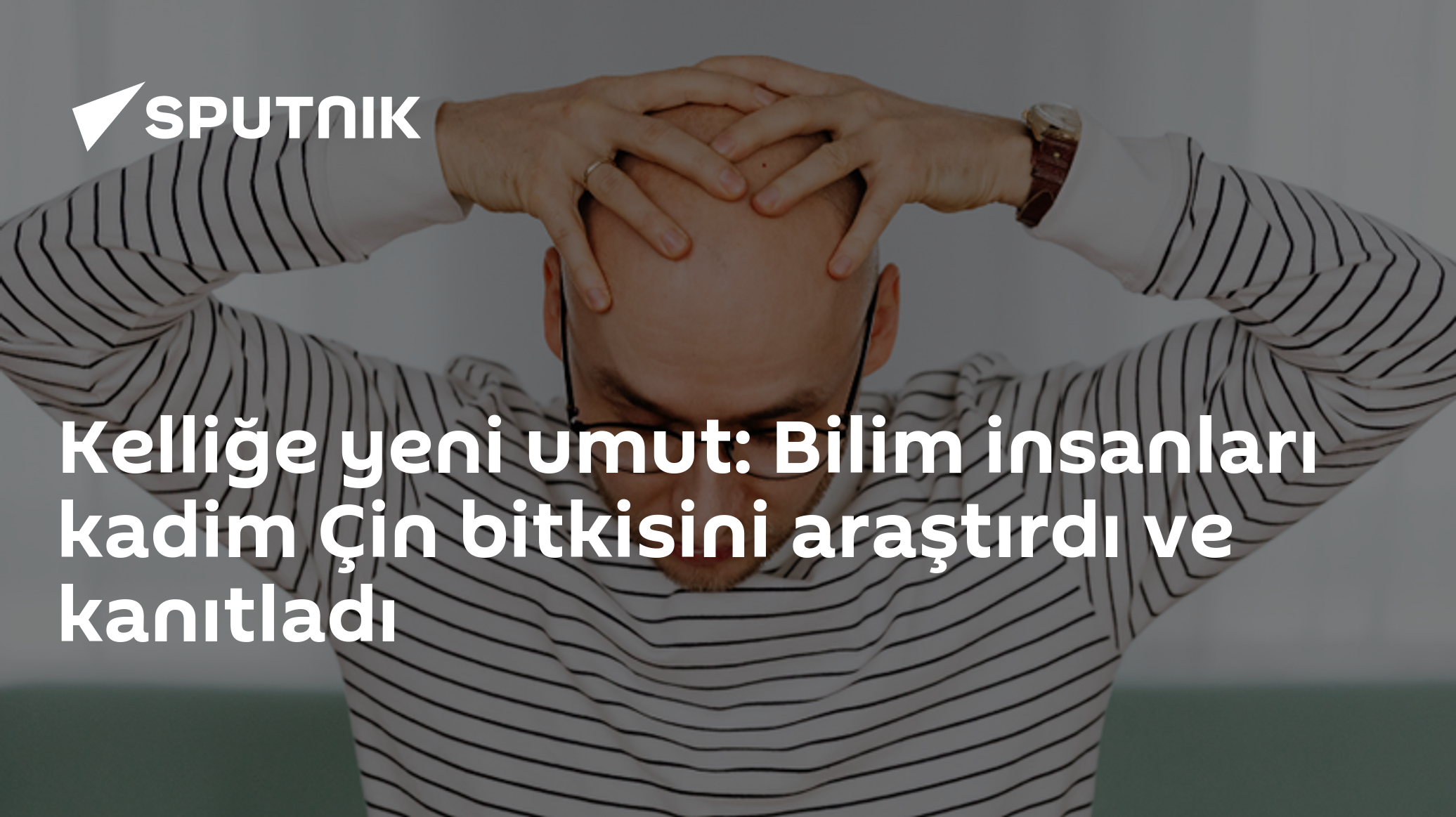Kelliğe yeni umut: Bilim insanları kadim Çin bitkisini araştırdı ve kanıtladı