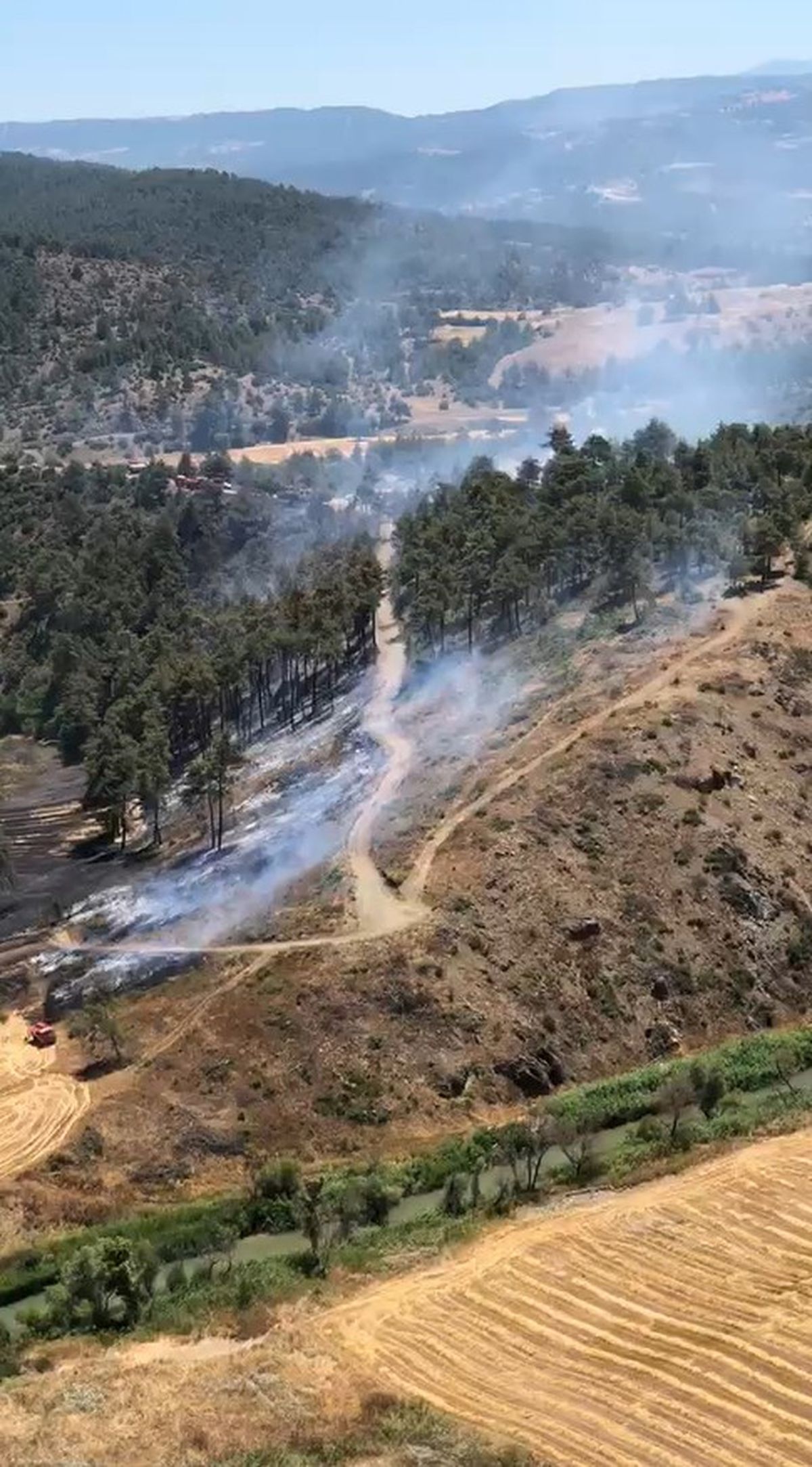 Bursa'da orman yangını