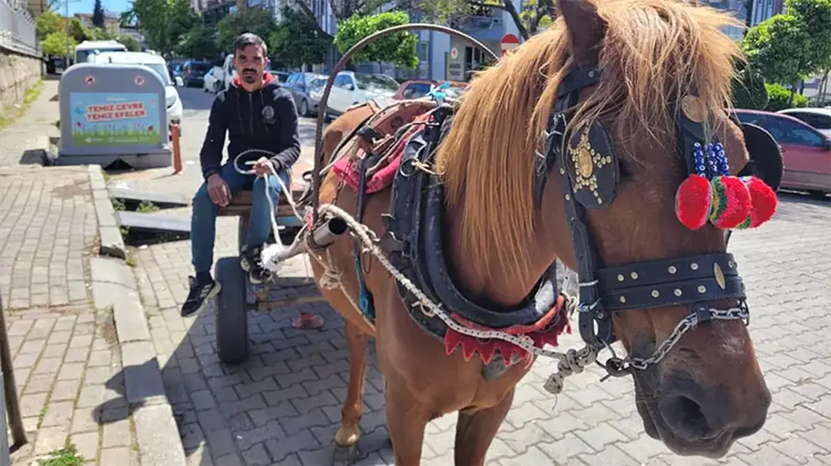 Aydın'da sadece o kaldı! Mesleğin son temsilcisi: Kazancı iyi, işsizlik sorunu yaşamıyoruz