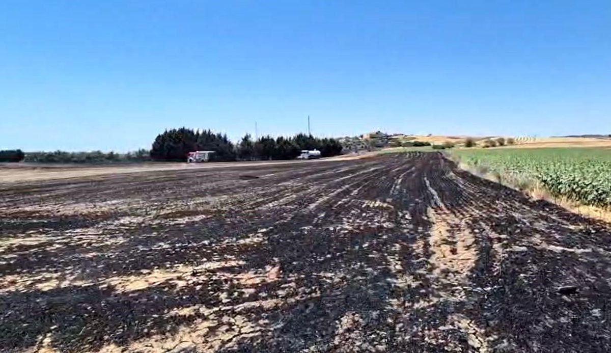 Silivri'de elektrik direği kesimi sırasında yangın: Ekili araziler zarar gördü