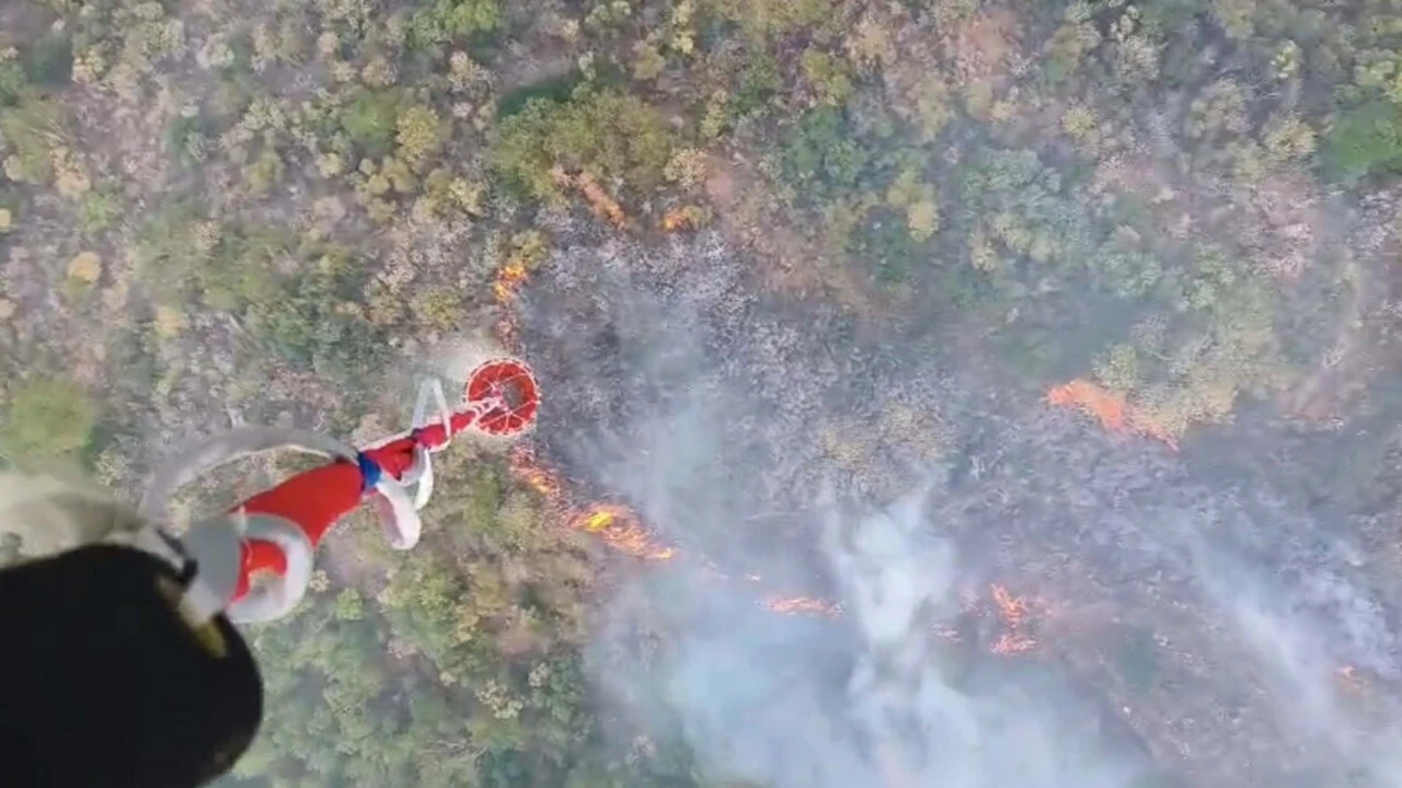 Marmaris’te orman yangını