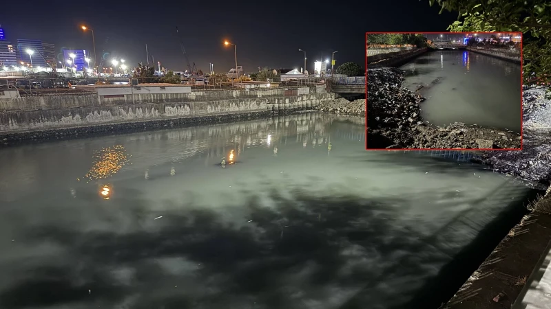 Bakırköy'de sahile bağlantısı bulunan dere yatağında ölen binlerce balık kıyıya vurdu