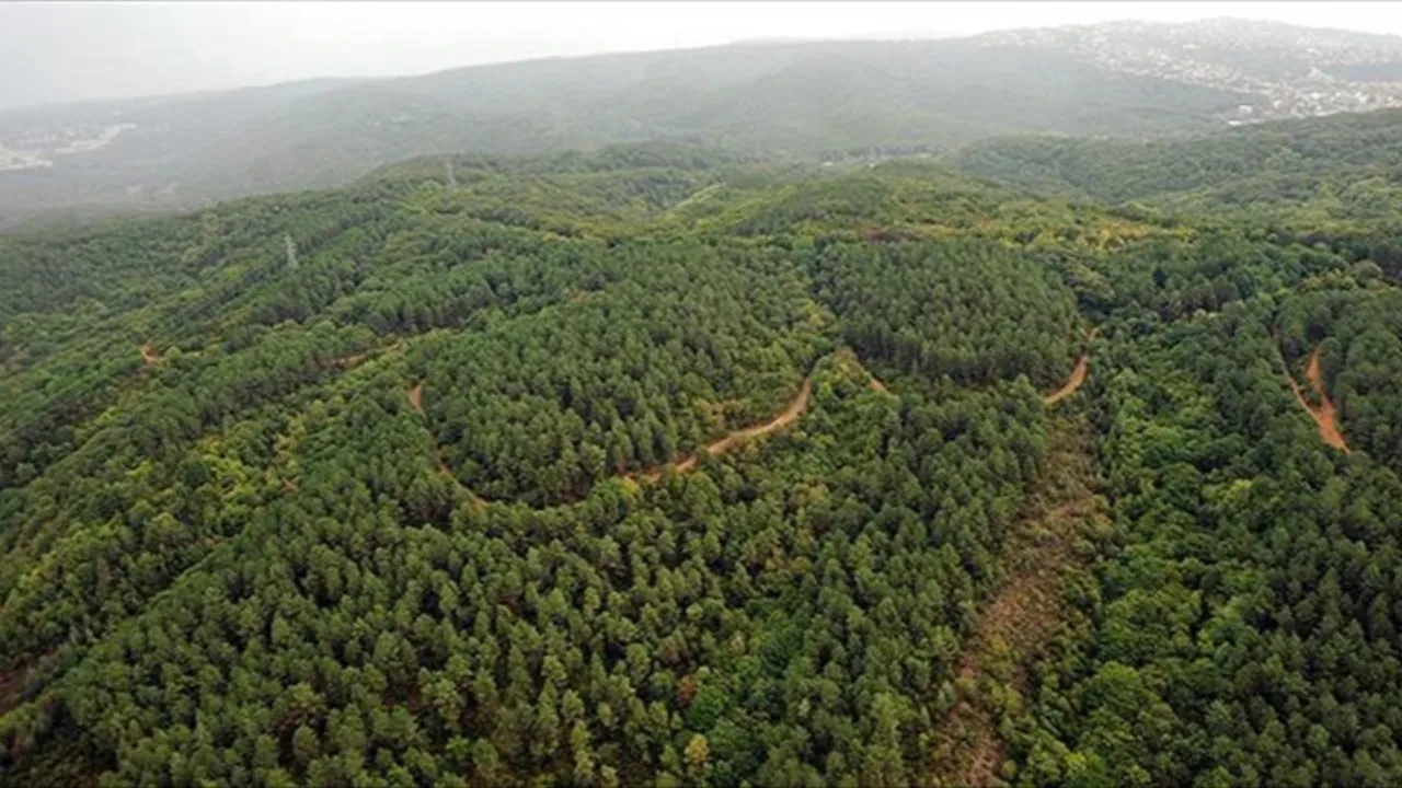 Resmi Gazete'de yayımlandı: Tarım, orman ve enerji alanlarında yeni dönem