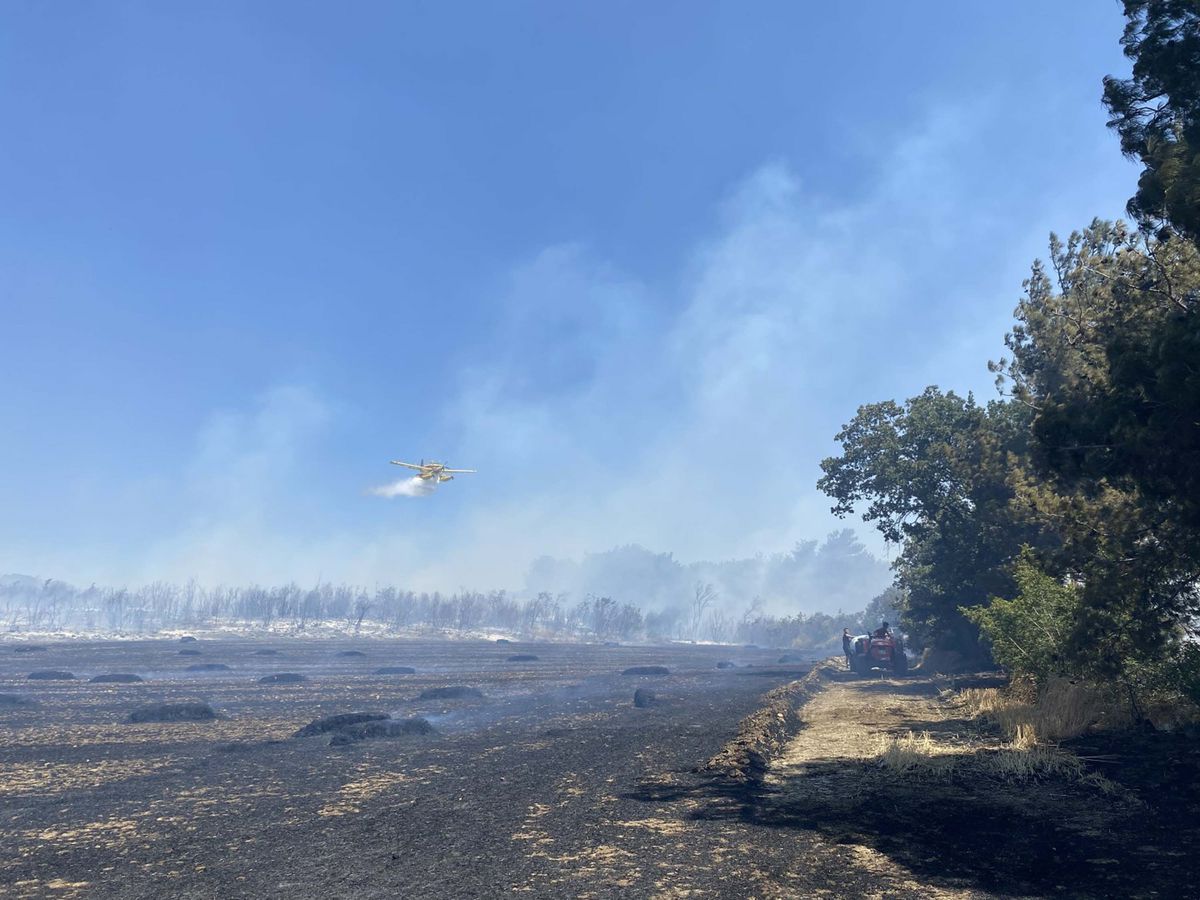 Çanakkale'de tarım arazisinde yangın
