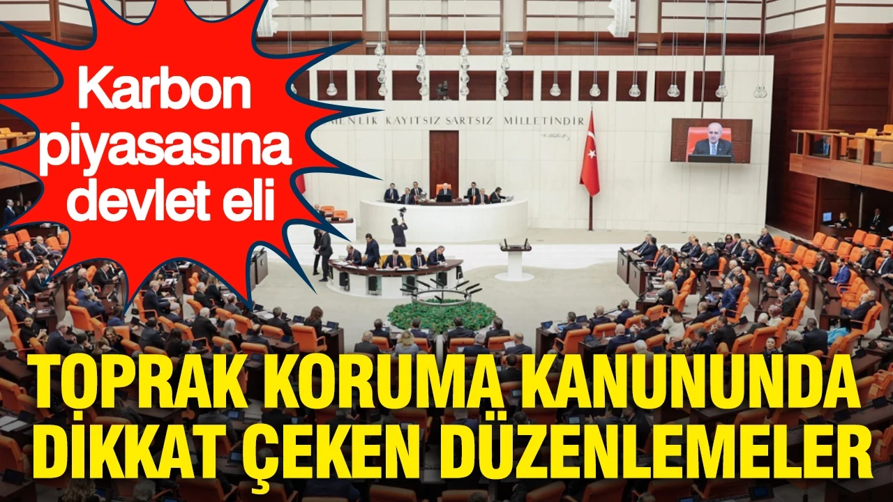 Karbon piyasasına devlet eli: Toprak koruma kanununda dikkat çeken düzenlemeler