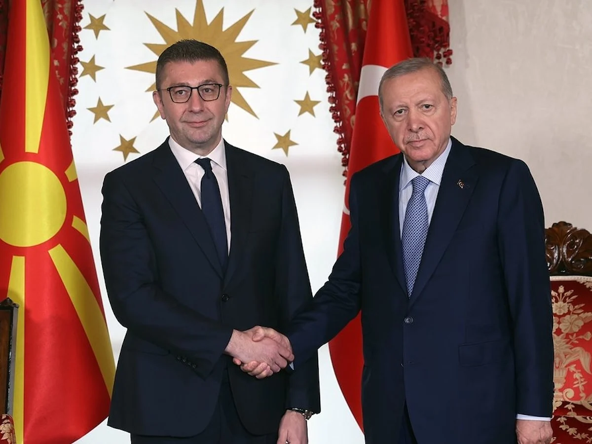 Cumhurbaşkanı Erdoğan, Kuzey Makedonya Başbakanı'nı kabul etti
