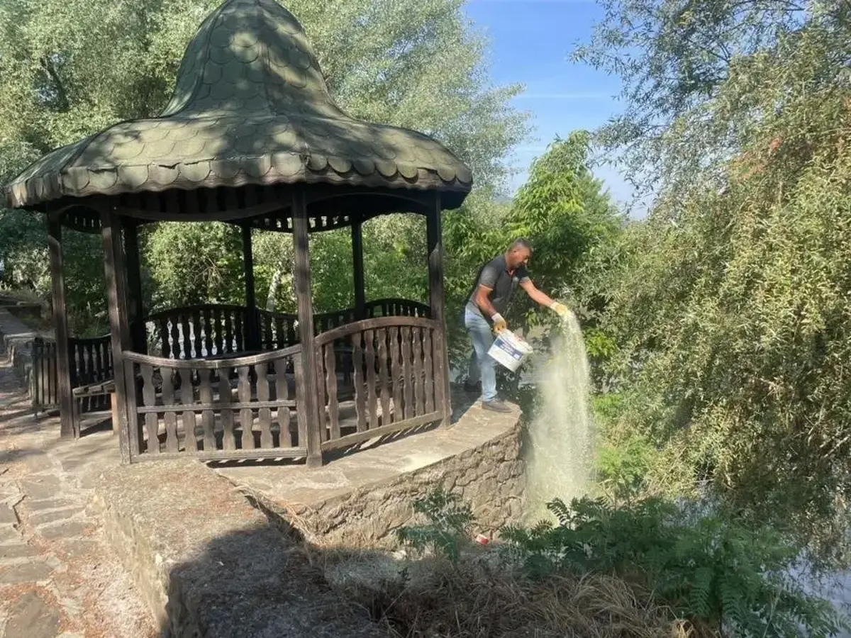 Bilecik'te mesire alanlarında alarm var! Belediye harekete geçti