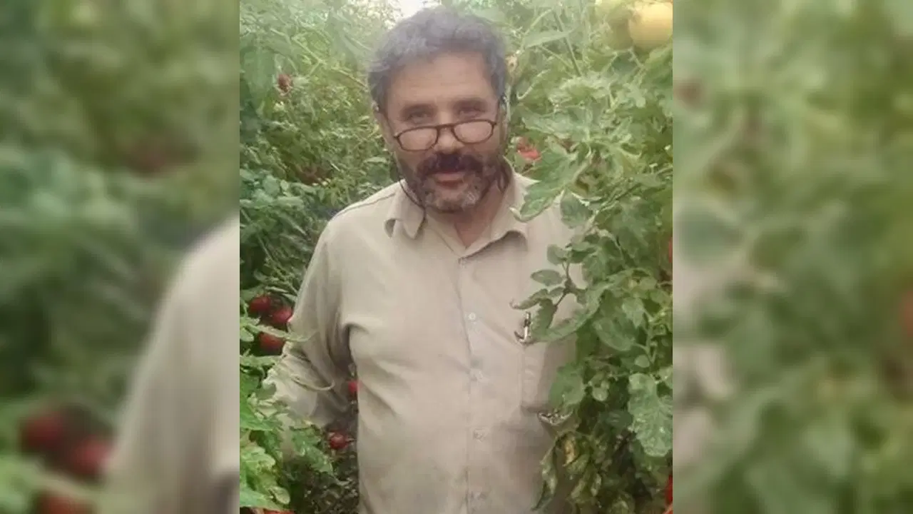 Traktör şarampole yuvarlandı: Sürücü öldü