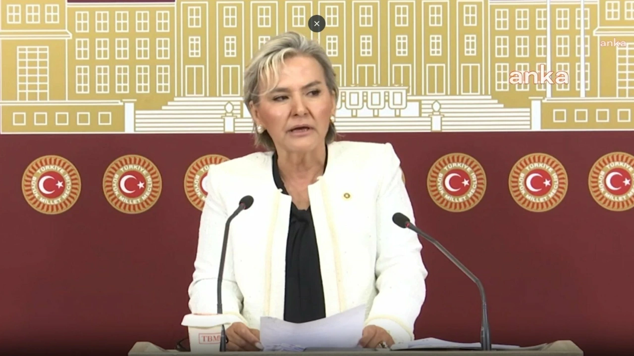 İstanbul Milletvekili Nimet Özdemir, CHP'den istifa etti