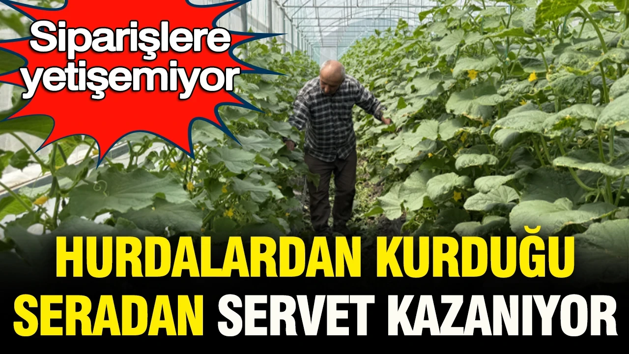 Hurdalardan kurduğu seradan servet kazanıyor: Siparişlere yetişemiyor
