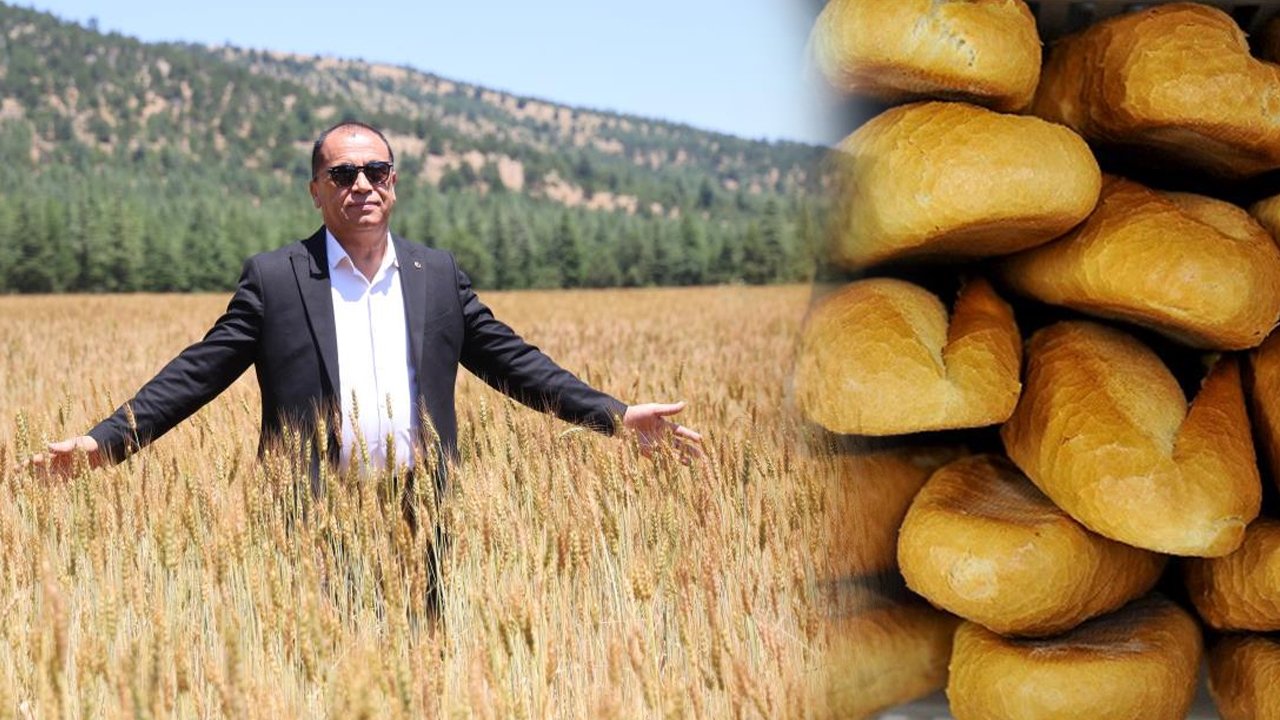 Belediye kendi buğdayını üretiyor! Bu ilçede ekmek 12,5 TL
