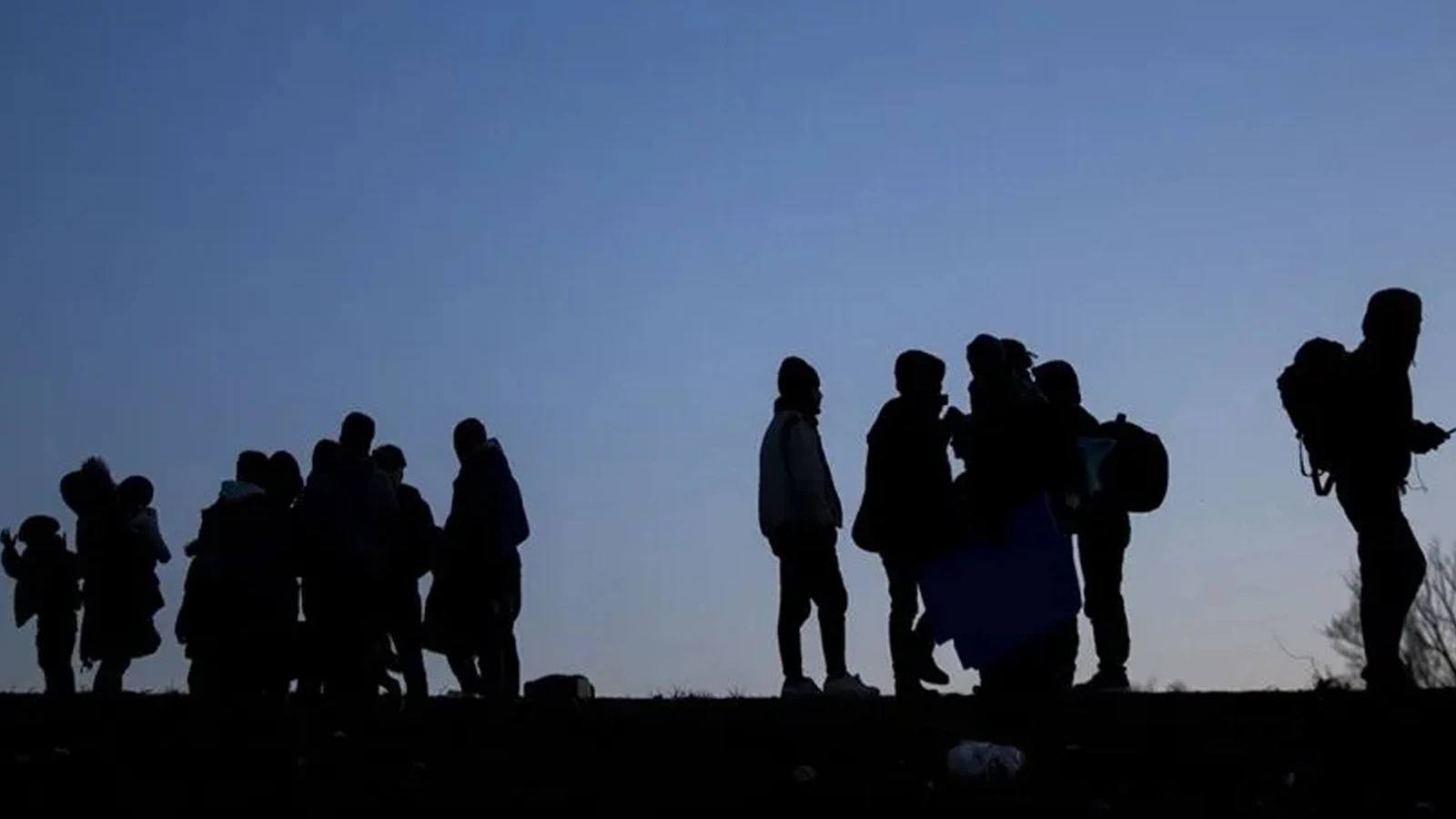 Yurt genelinde göçmen kaçakçılığı operasyonu: 25 organizatör ve 355 düzensiz göçmen yakalandı