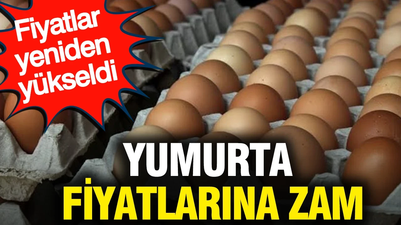 Yumurta fiyatlarına zam: Fiyatlar yeniden yükseldi