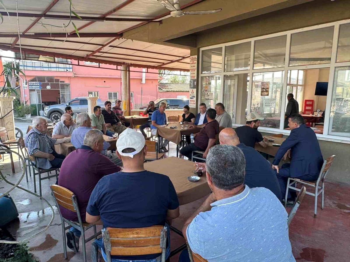 AK Parti İl Başkanı Subaşıoğlu, Sarayköy'de buğday hasadı yaptı