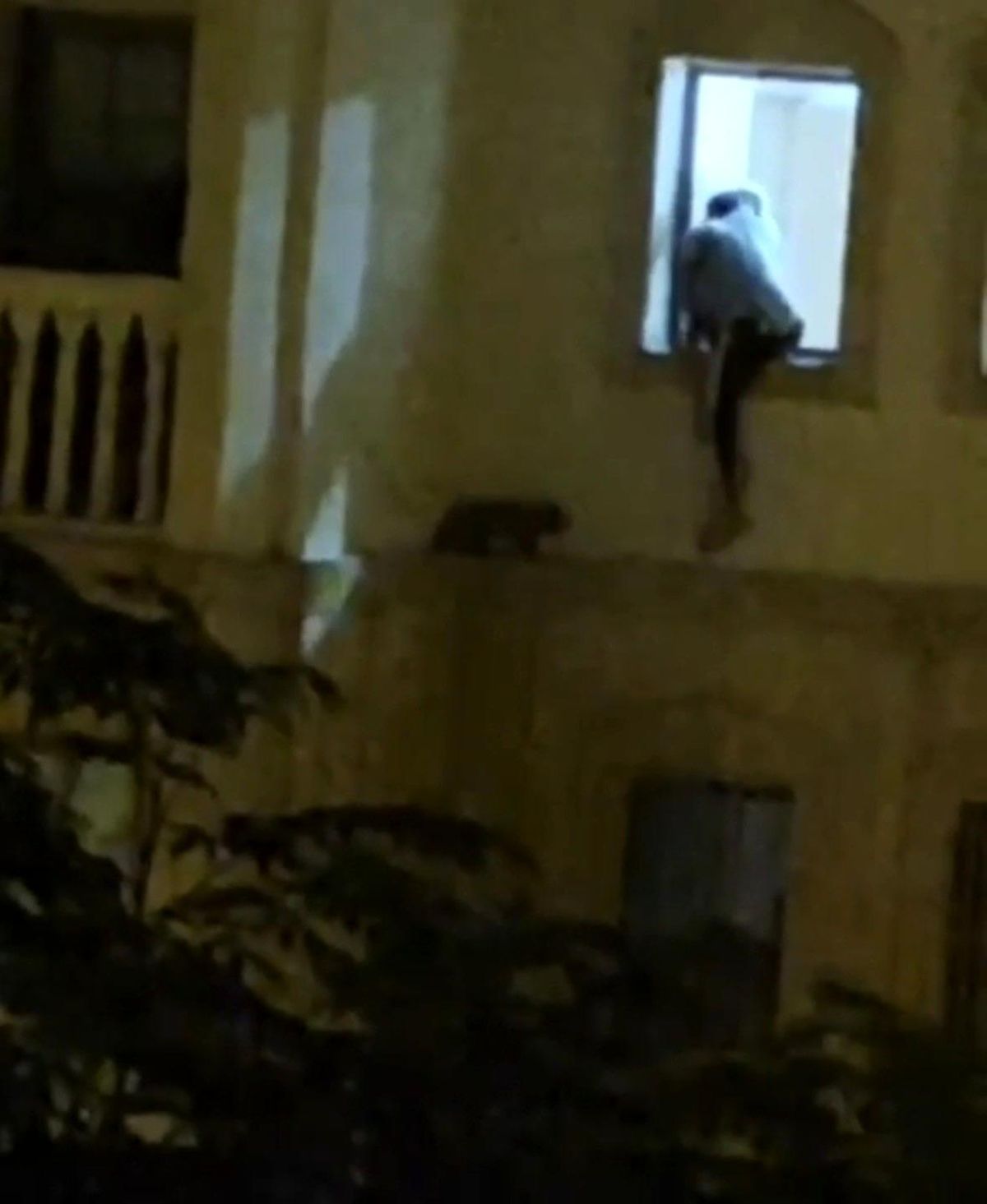 Mardin'de mahsur kalan kedi kurtarıldı