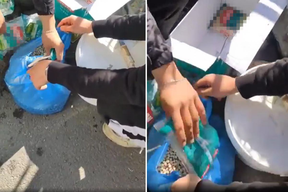 Esnaftan pes dedirten oyun! Marketten alıp 'köy nohudu' diye satmışlar
