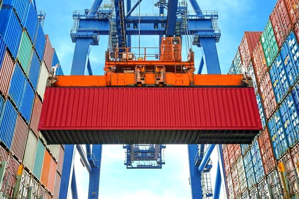 Düzce'den 4 bin 135 ton orman ürünü ihraç edildi