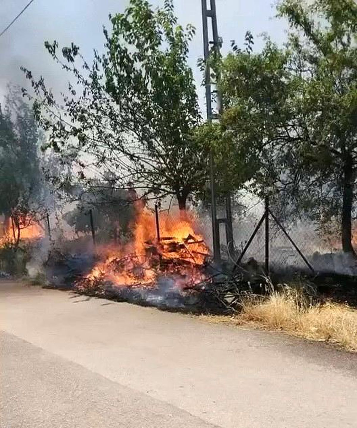 Karadağ Ormanlık alanda çıkan yangın korkuttu