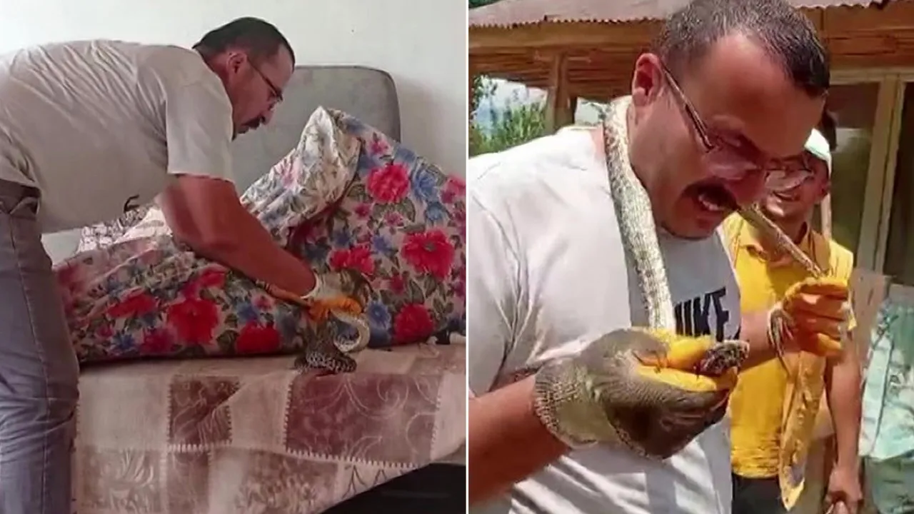 Karyolanın altından çıkan yılanı boynuna doladı