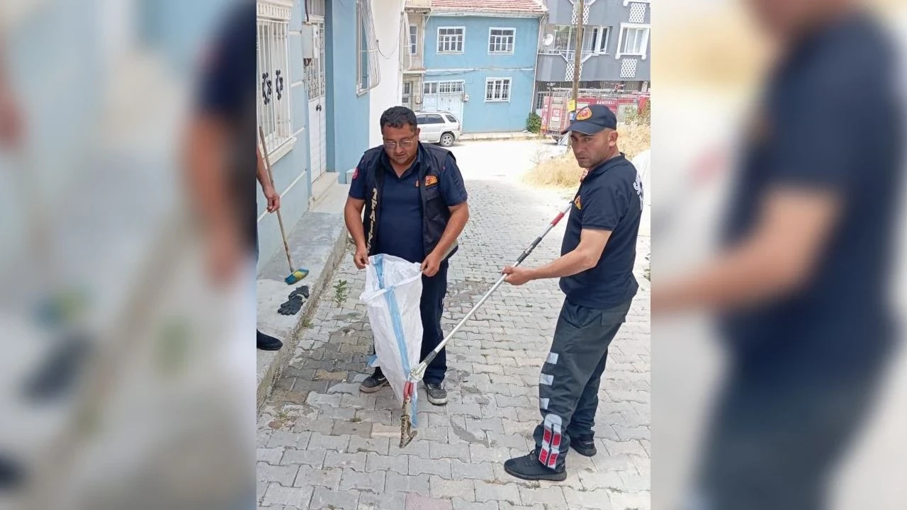 Eve giren yılan panik yarattı