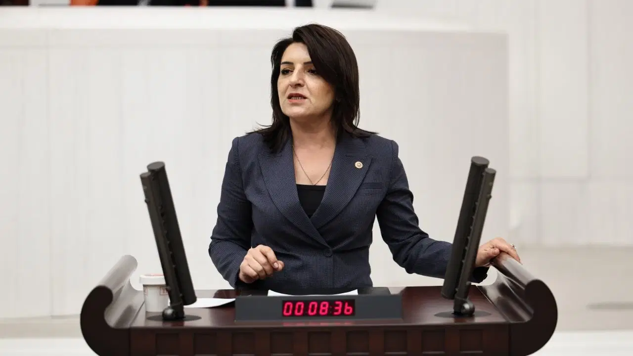 CHP'lı Kış: 'Türkiye artık büyümeyi değil günü kurtarmayı konuşuyor'