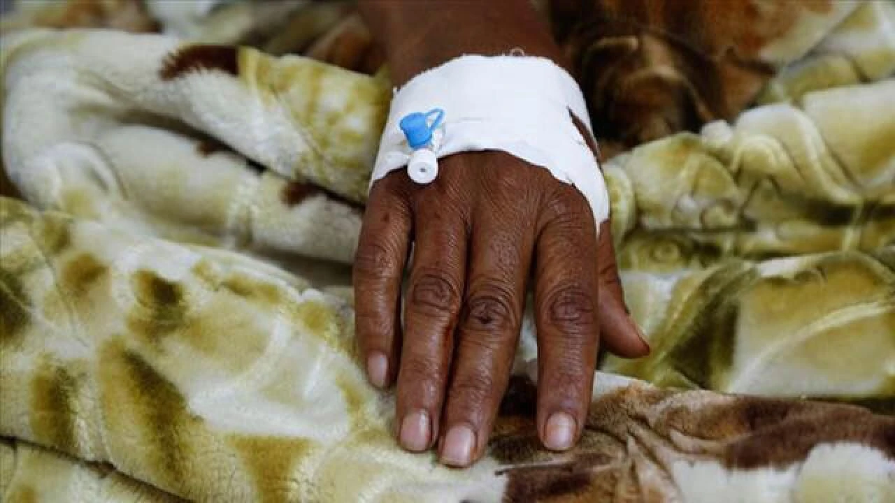 Nijerya'da Lassa ateşi yayılıyor: Ölüm sayısı 214'e yükseldi