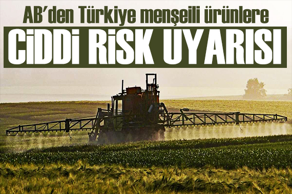 AB'den Türkiye menşeili ürünlere ciddi risk uyarısı