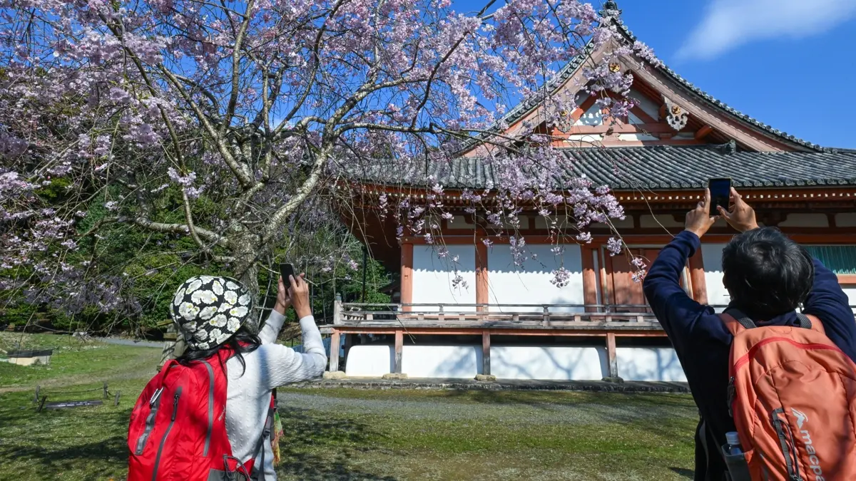 Japonya'nın zamana direnen şehri Kyoto... İşte ziyaret etmek için 7 neden