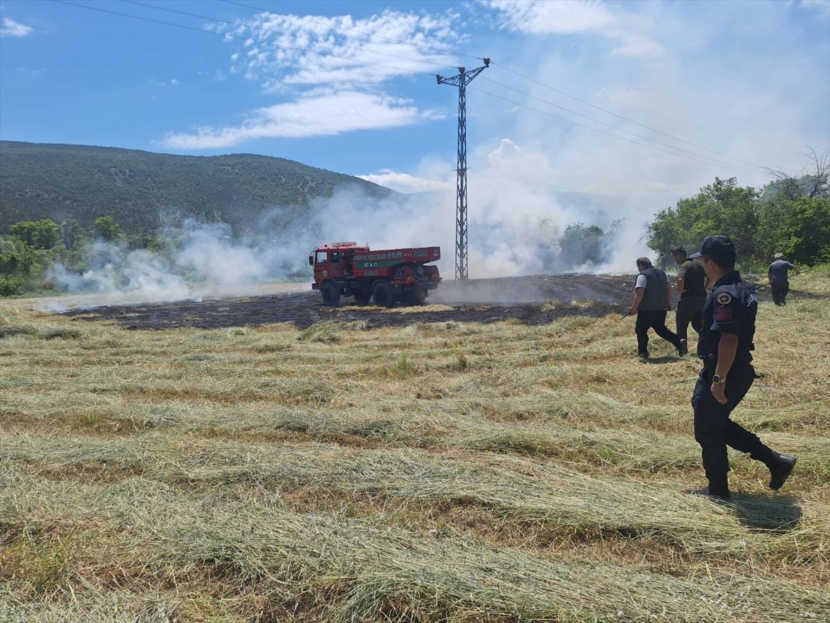 Karabük'te çıkan anız yangını söndürüldü