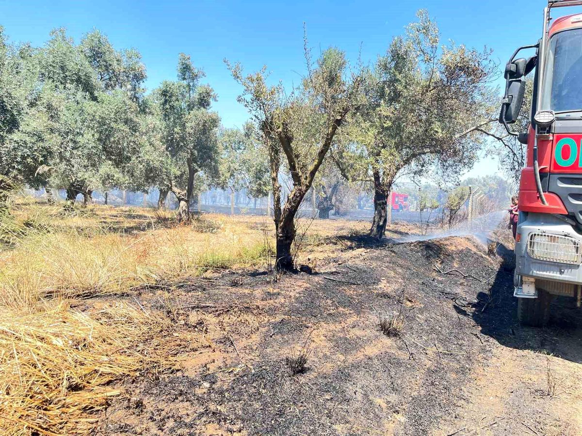 Korkutan arazi yangını 1 saatte kontrol altına alındı