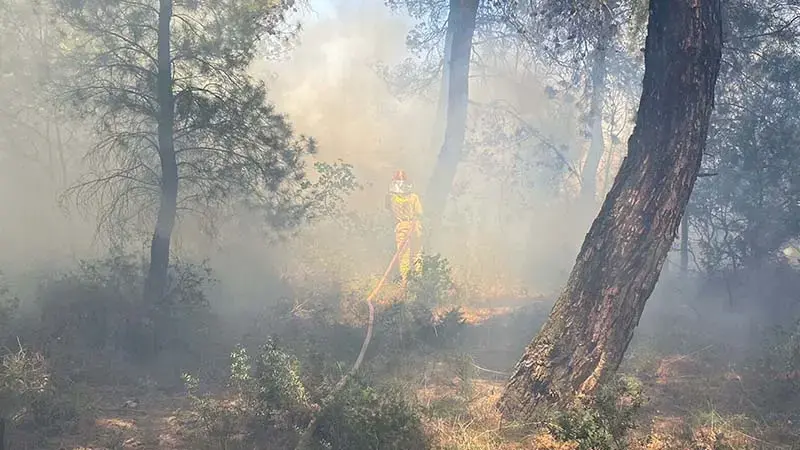 Çanakkale'de tarım arazisinde yangın