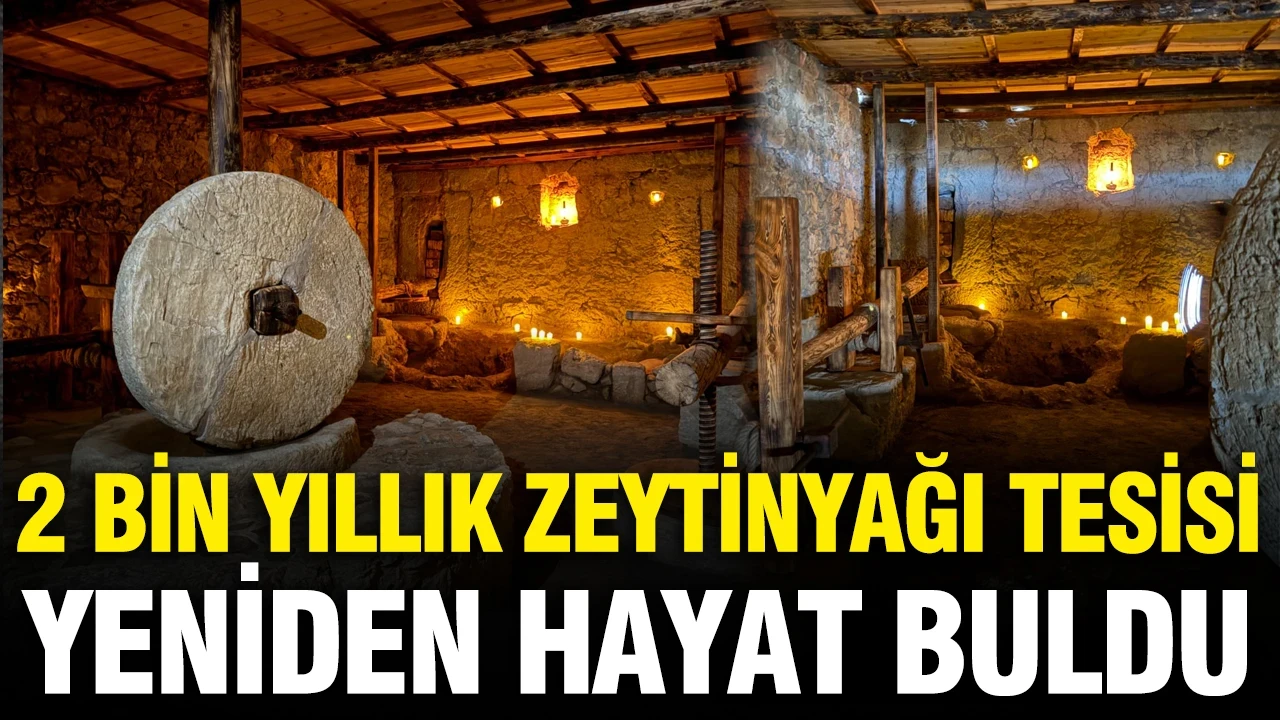 2 bin yıllık zeytinyağı tesisi yeniden hayat buldu